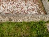 image of grave number 809072